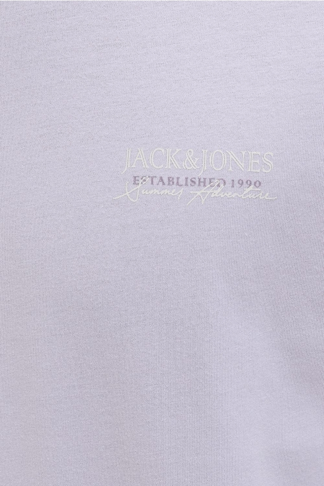 JJSUMMER VIBES TEE SS CREW NECK 12269372 LANGUID LAVENDER